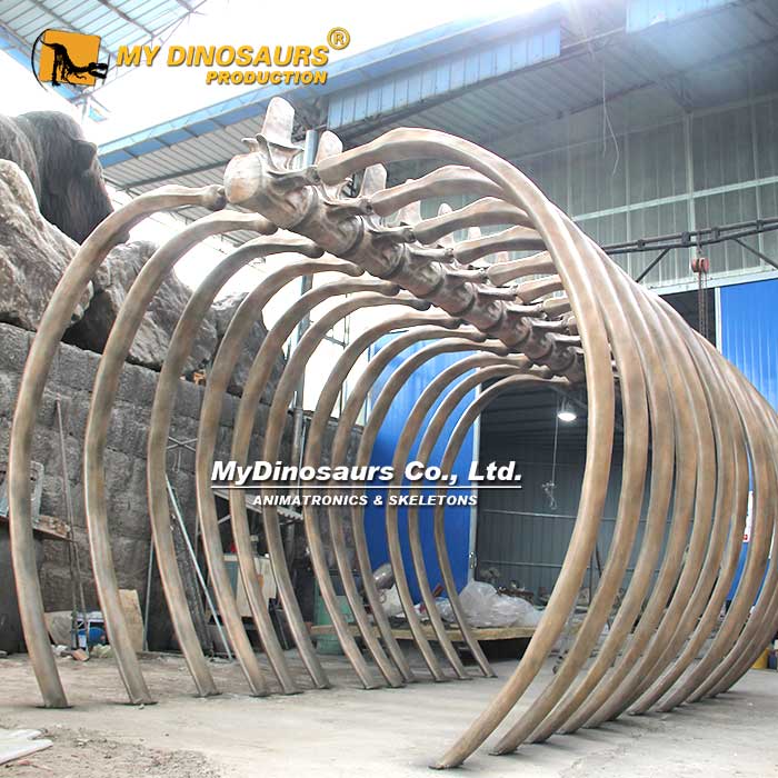 DZ-022  定制手工玻璃鋼材質(zhì)胸腔骨架