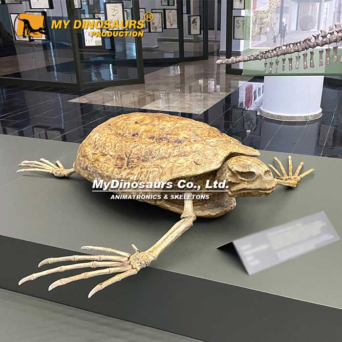BL-081 玻璃鋼靜態(tài)動物海龜模型擺件