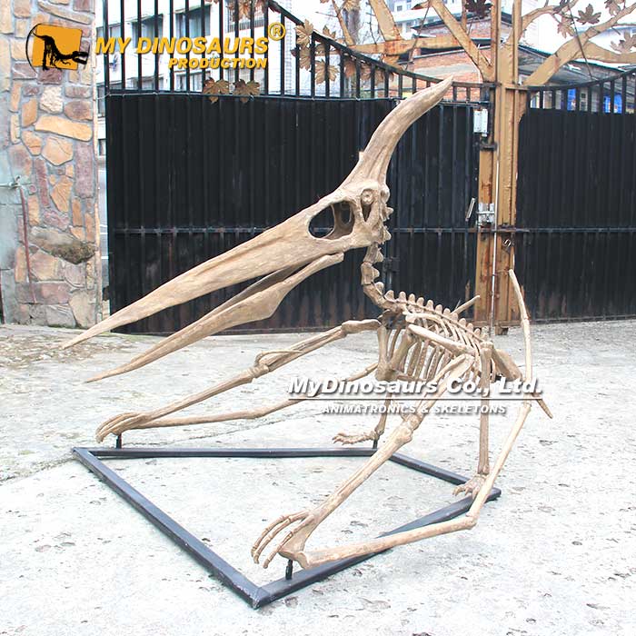 DS-259 龍晨時(shí)代手工制作翼手龍恐龍骨架
