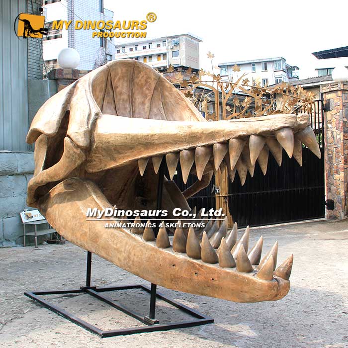 AS-154 梅爾維爾鯨頭骨模型 博物館展廳裝飾