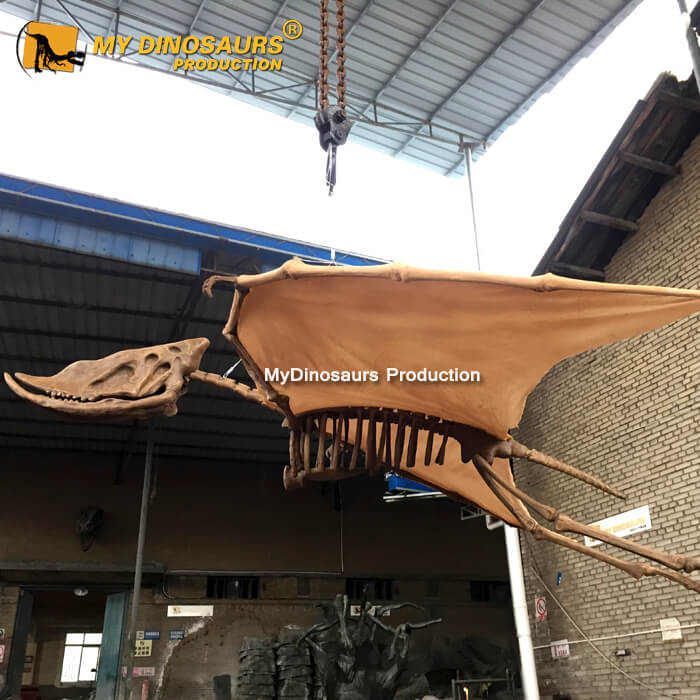 Dsungaripterus Skeleton