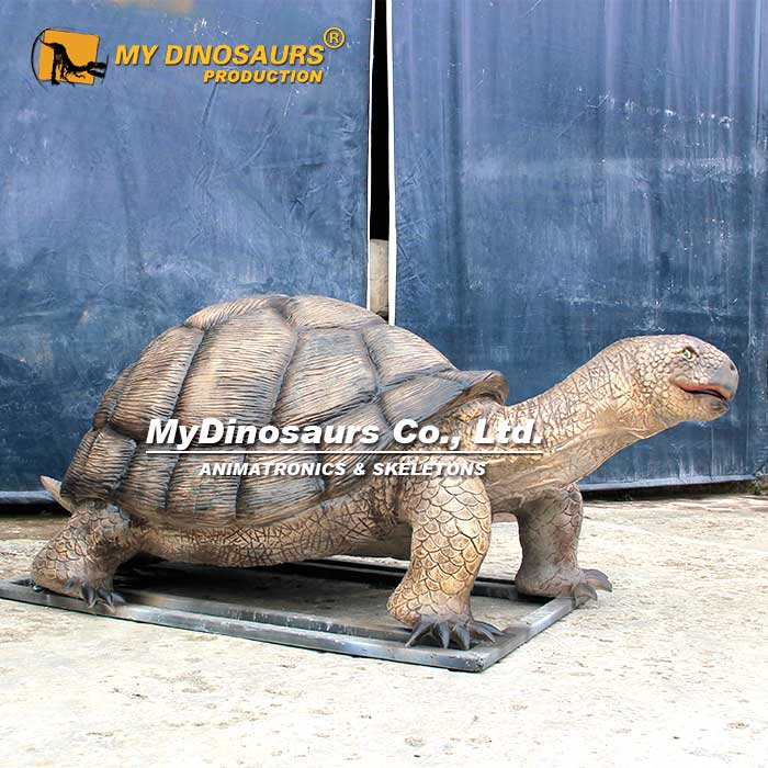 Animatronic-Tortoise-4