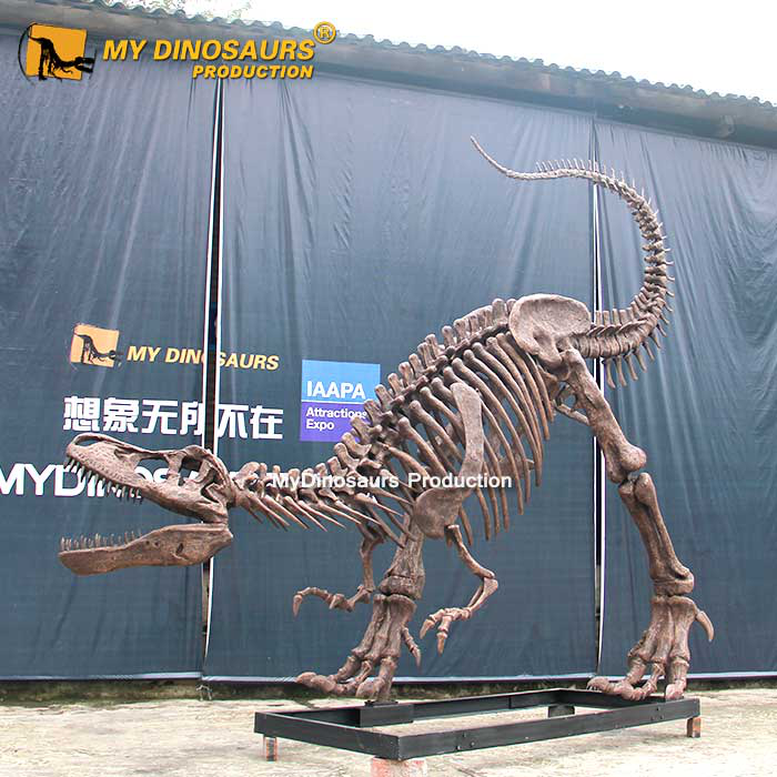 模型恐龍骨架制作方式2