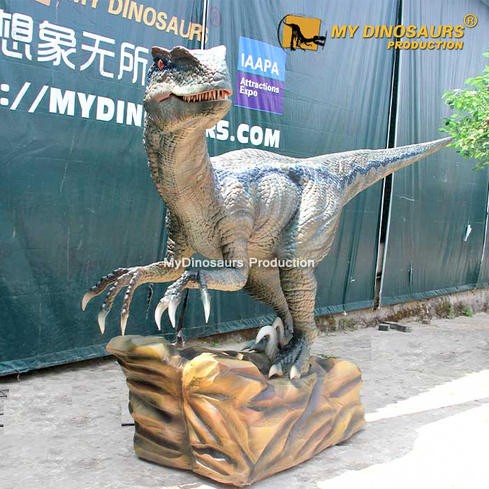 迅猛龍