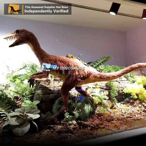 Sinornithosaurus-model.gif