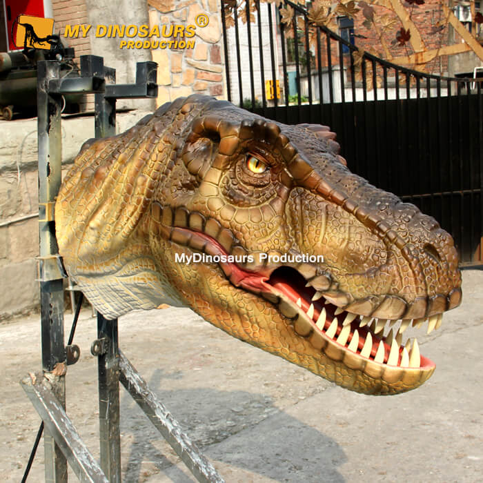 1m long Trex Head 1