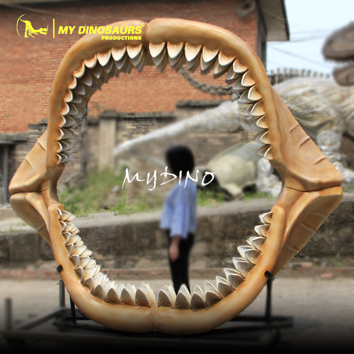 Shark jaw