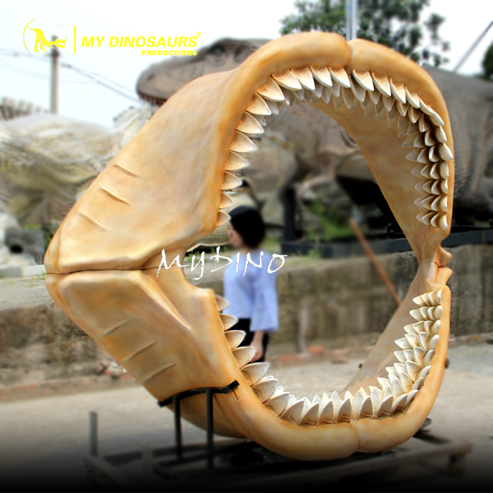 Megalodon Jaw