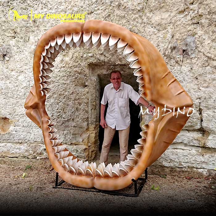 megalodon-jaw-fossil
