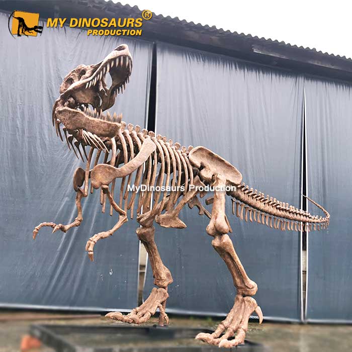 6.3M-T-REX-skeleton