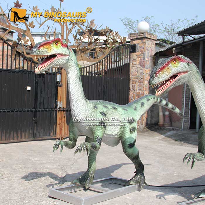 Animatronic-Coelophysis-2