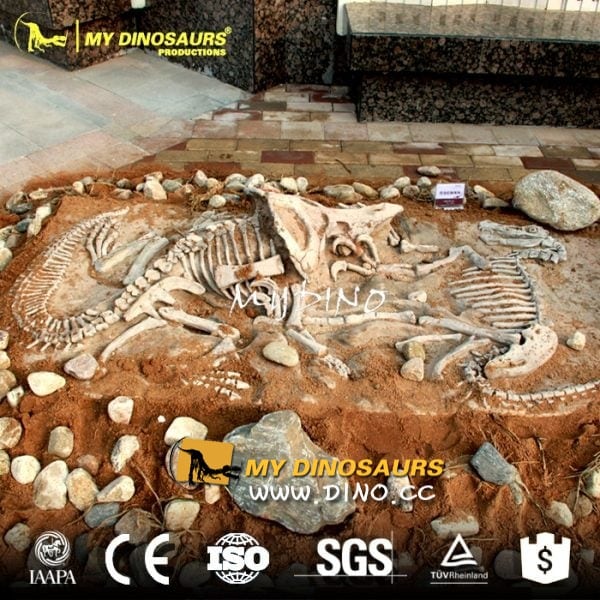 仿真恐龍化石