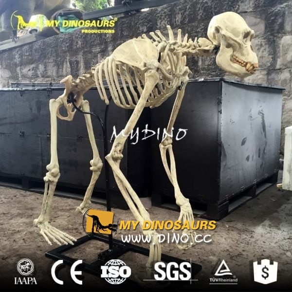 仿真恐龍模型