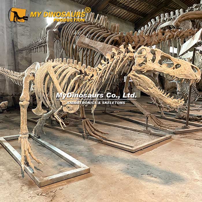 4.5M-T-Rex-skeleton