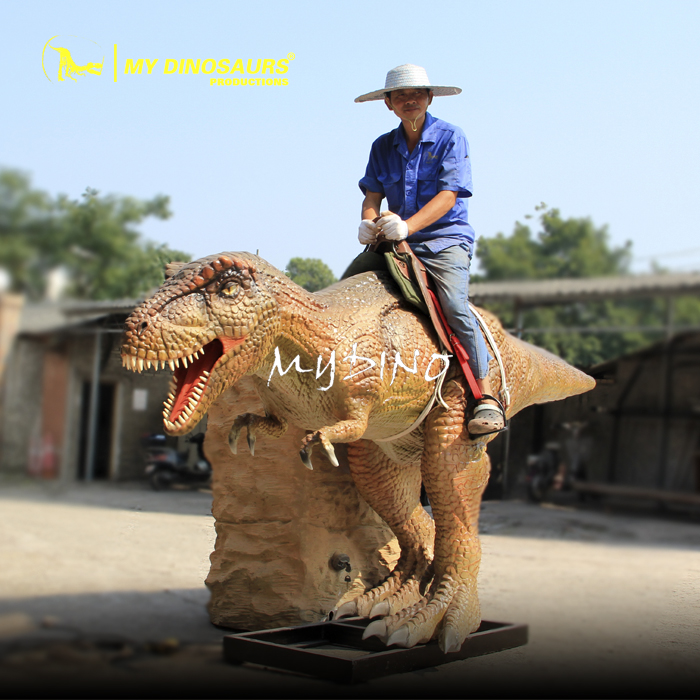 Amusement ride 1