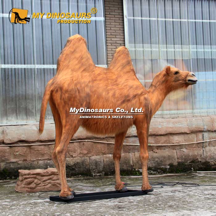 Animatronic-Animal-Camel-1