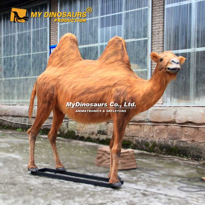 Animatronic-Animal-Camel