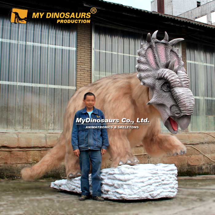 Baby-Pachyrhinosaurus