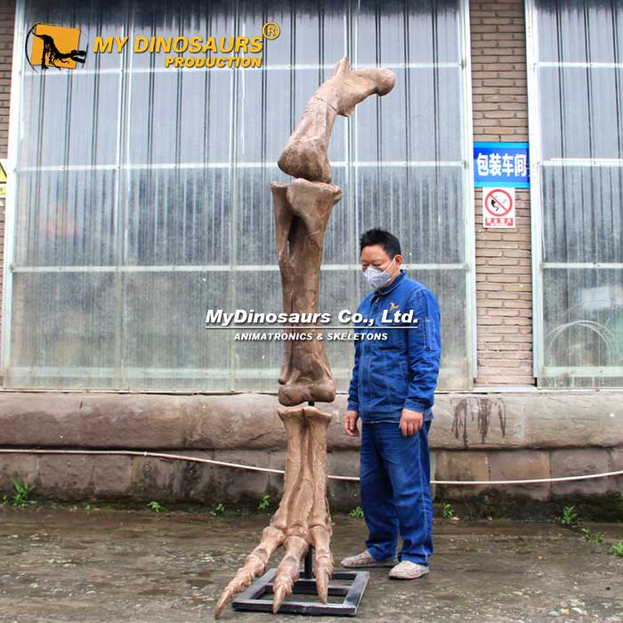 Dinosaur-Leg-Bone-2