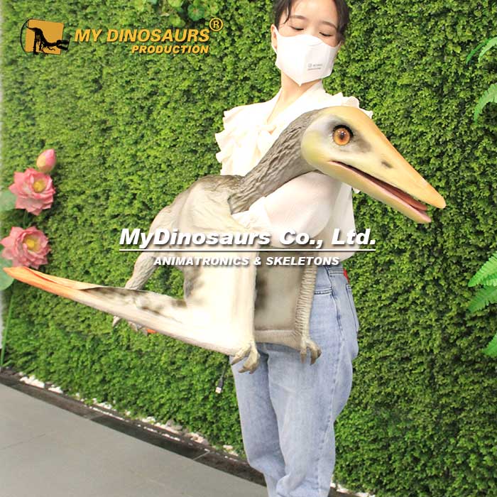 pterosaur-puppet-2