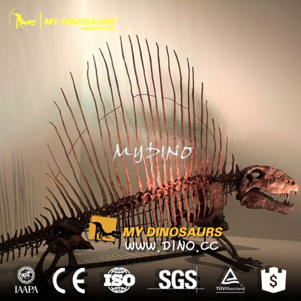 古生物模型.jpg