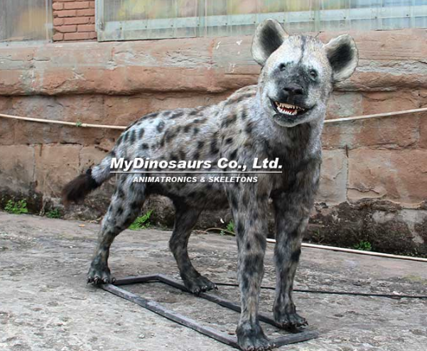 古動物模型.png
