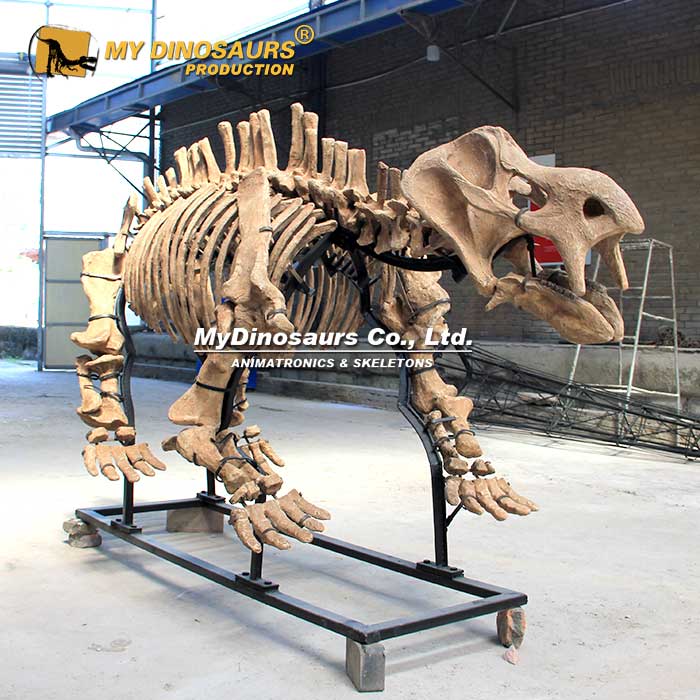 Kannemeyeria-skeleton-2