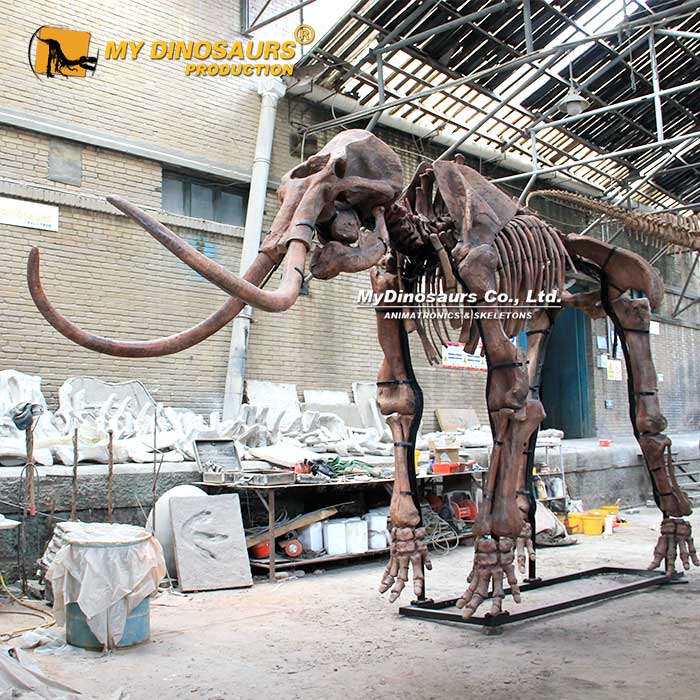 mammoth-skeleton-museum-replica