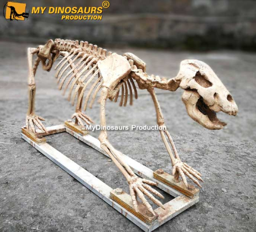 仿真動物骨架.png