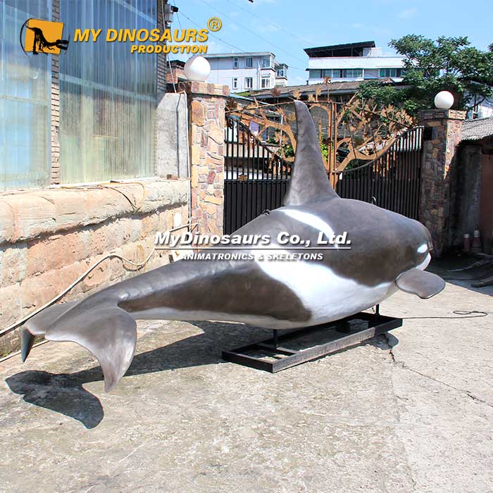 Animatronic-Killer-Whale-1