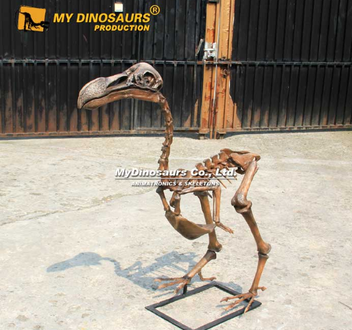 古生物模型.png