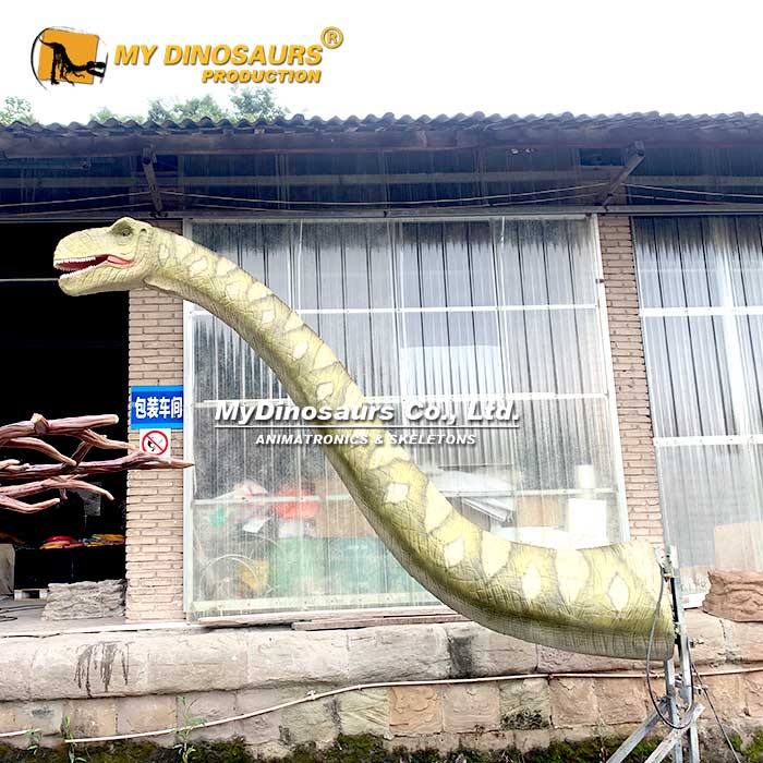 5M-Brachiosaurus-Head