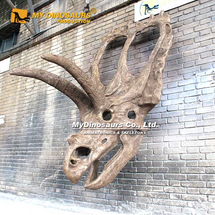 Coahuilaceratops-Skull